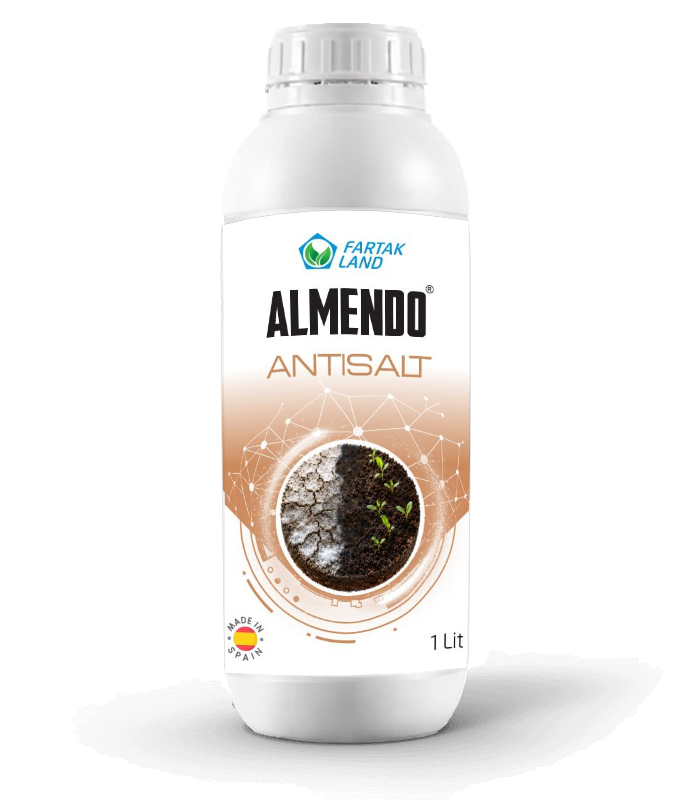 almendo antisalt1