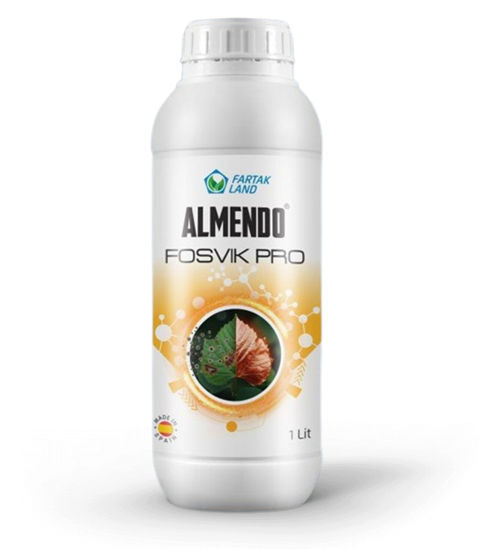 fosvikpro