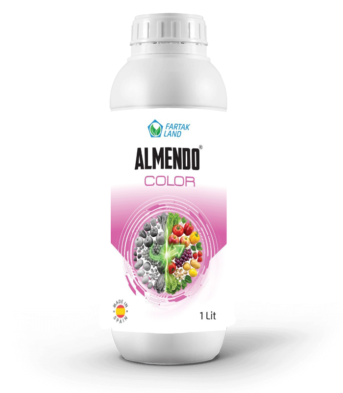 almendo color