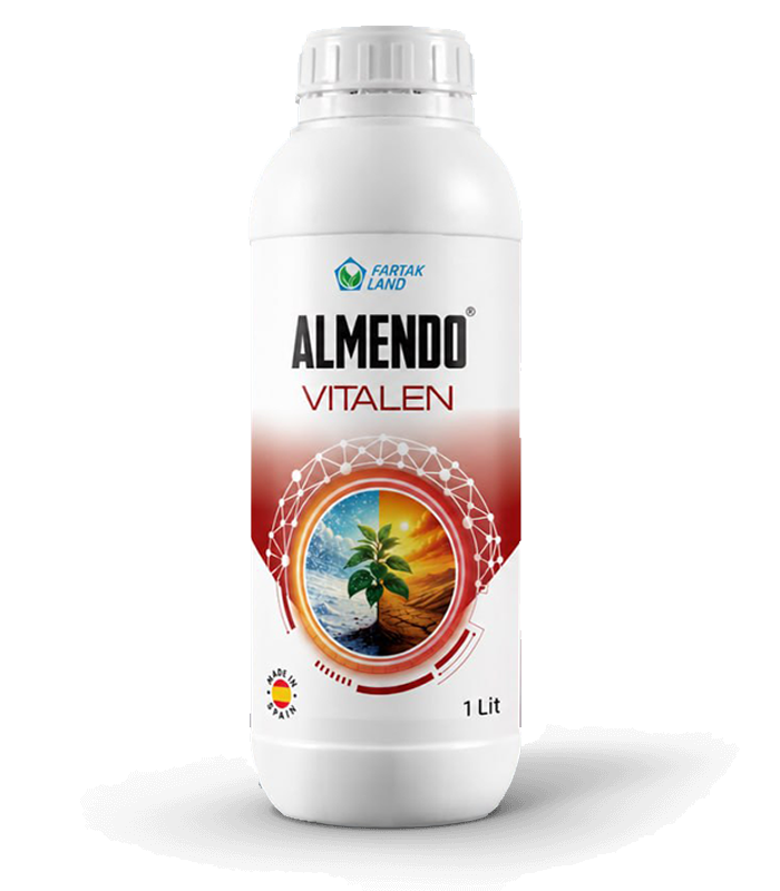 almendo vitalin