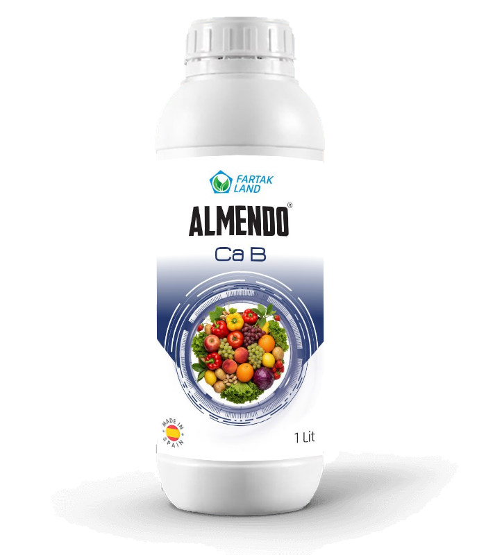 ALMENDO-cab
