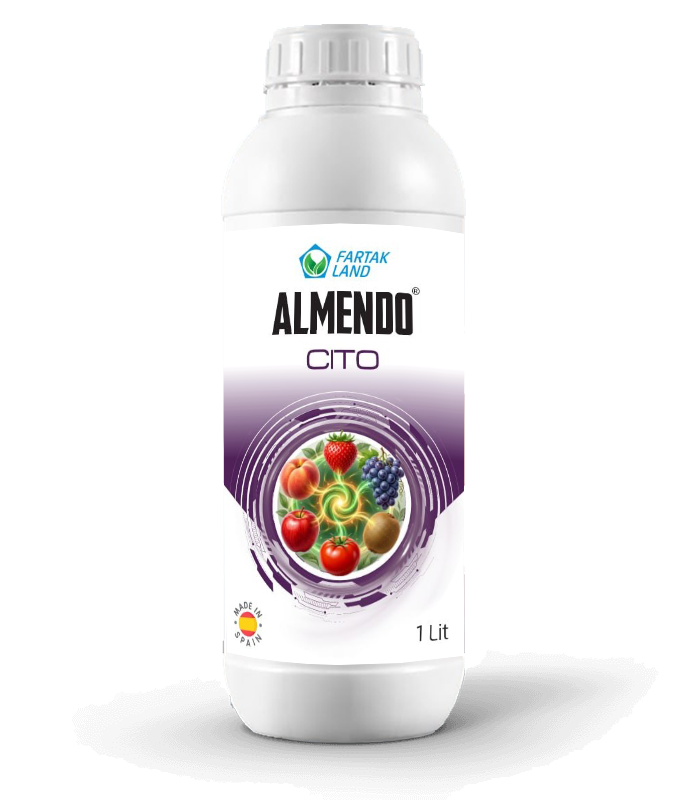 ALMENDO سیتو