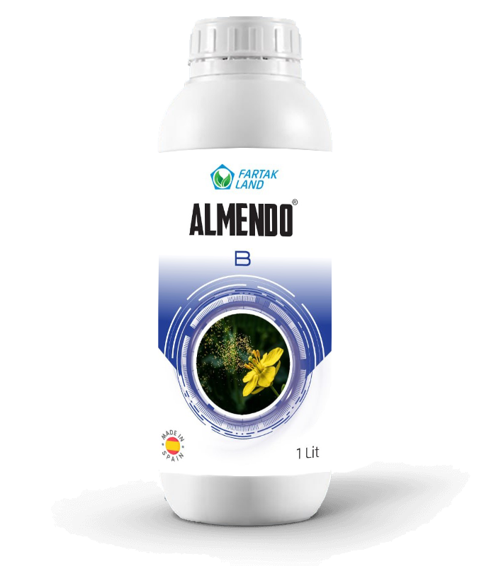 almendo B