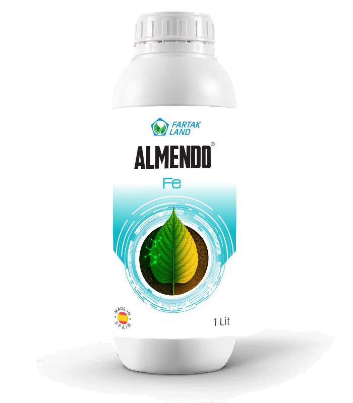 almendo fe