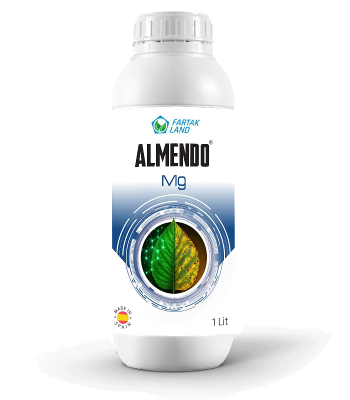 almendo mg