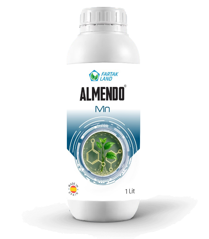 almendo mn