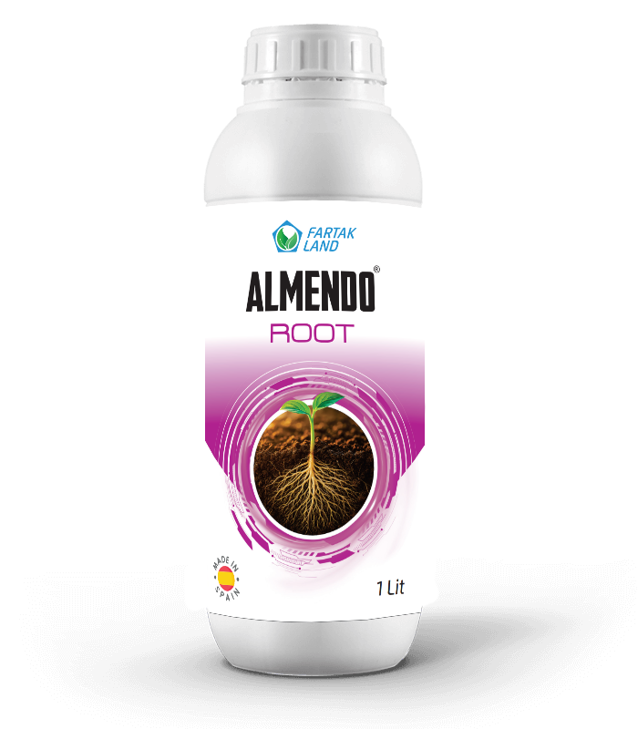 almendo root